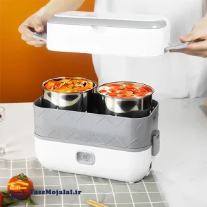ظرف غذای برقی زیوین مدل DFH_CO2